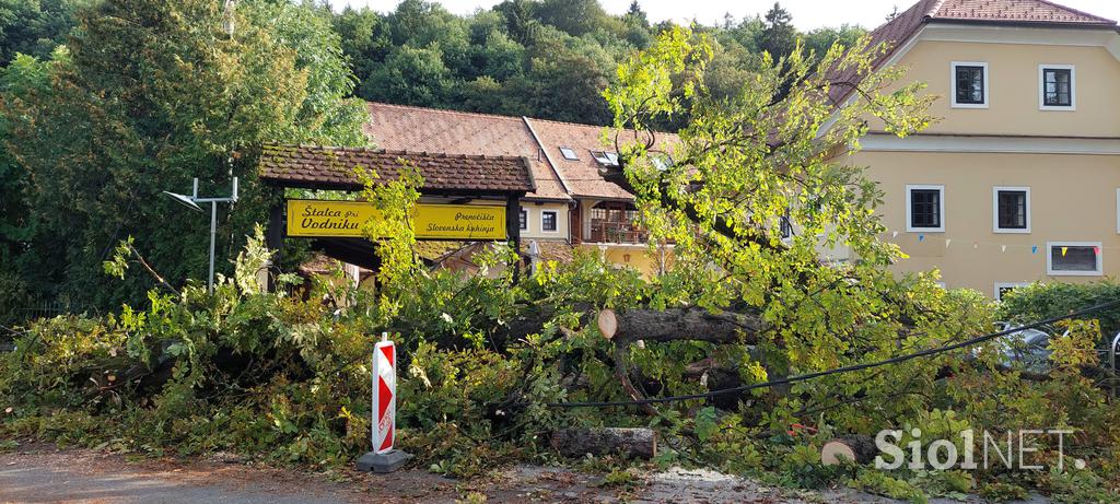 Podrta drevesa na Vodnikovi cesti v Ljubljani