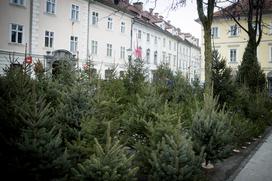 Božična drevesa jelke smreke ljubljanska tržnica