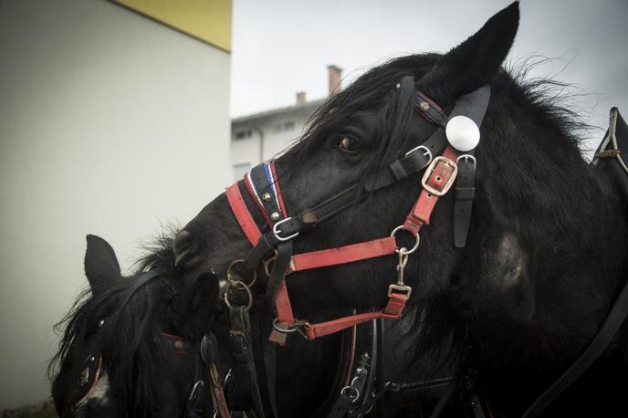 Blagoslov konjev | Foto Ana Kovač