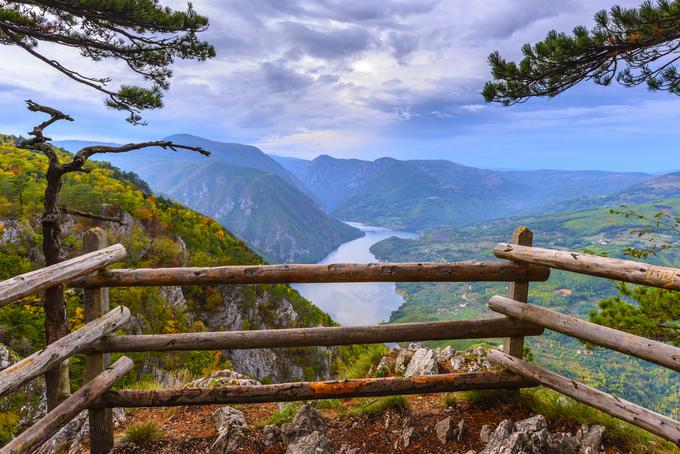 Planina Tara je zaščitena kot narodni park. | Foto: Thinkstock