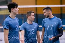 Calcit Volley