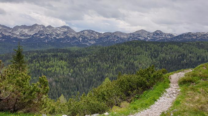 Triglavska jezera pohodništvo hribi | Foto: Metka Prezelj