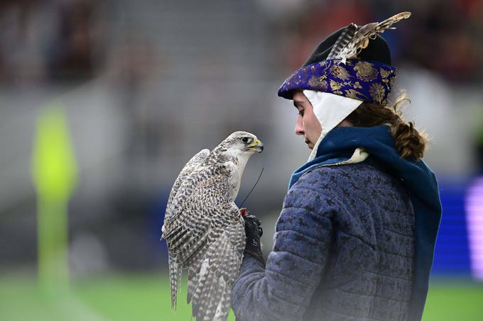 Pravi dresirani sokol je maskota na domačih reprezentančnih tekmah Slovaške. | Foto: Guliverimage