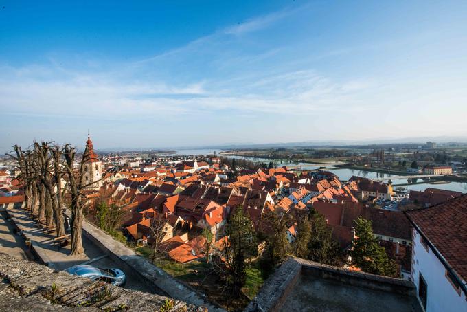 terme ptuj sava turizem | Foto: 