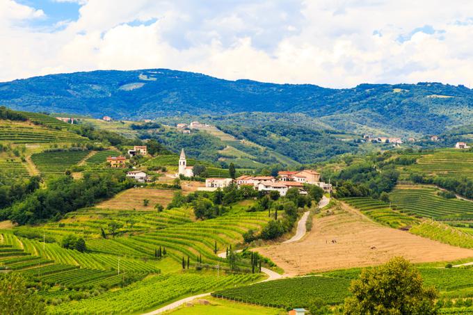 Goriška Brda. | Foto: Shutterstock