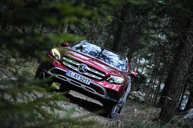 Mercedes-Benz E All-Terrain - gozd