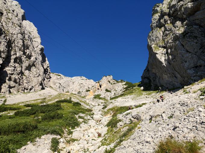 Grintovec | Foto: Matej Podgoršek