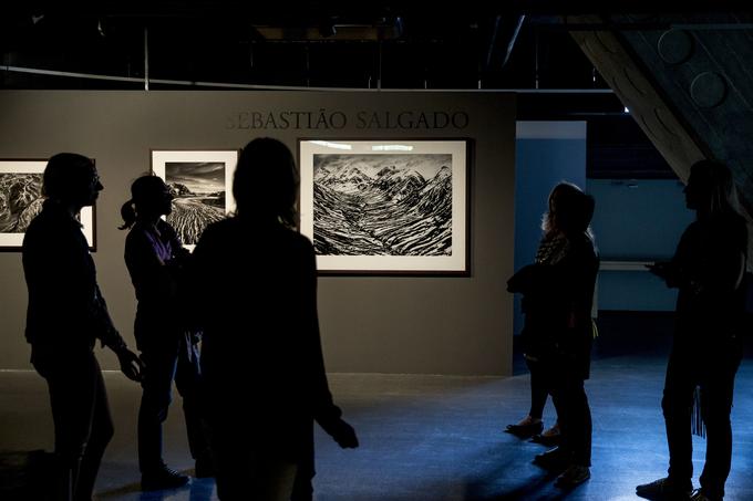 Razstava Geneza fotografa Sebastiaa Salgada bo na ogled med 31. majem in 31. avgustom v Mestnem muzeju Ljubljana in Galeriji Jakopič. | Foto: 