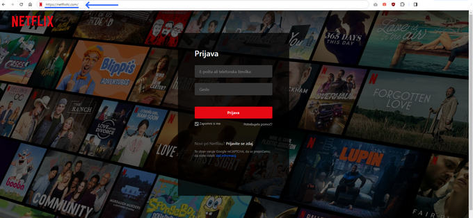 Naslov spletne strani razkriva, da ne gre za uradno Netflixovo spletišče, temveč ponaredek, namenjen goljufijam. | Foto: posnetek zaslona/Marine Traffic