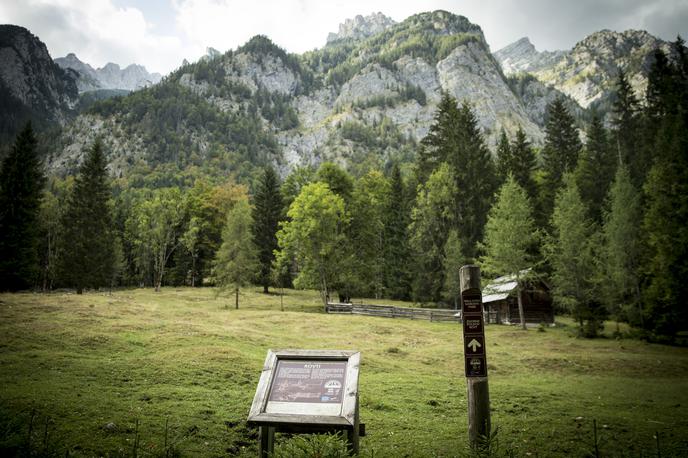 Dolina Vrata | Foto Ana Kovač