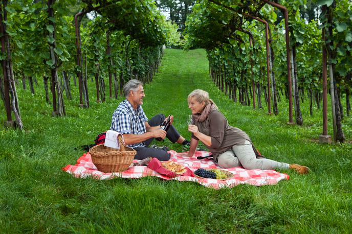 Visit Dolenjska | Piknik na podeželju, vinograd  Foto: Jošt Gantar