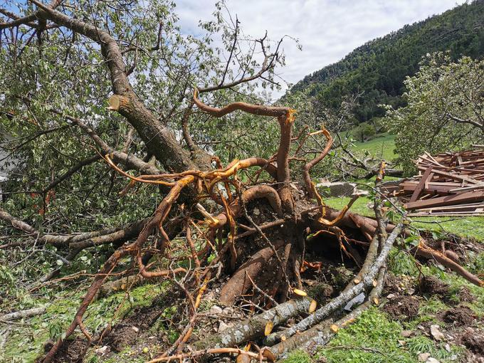 Odstranjevali so podrta drevesa, iz objektov prečrpavali meteorno vodo, sanirali odkrite strehe, s folijo prekrivali zemeljske plazove in preventivno čistili prepuste, so sporočili z uprave za zaščito in reševanje. | Foto: Ervin Čurlič / regijski štab CZ za severno Primorsko