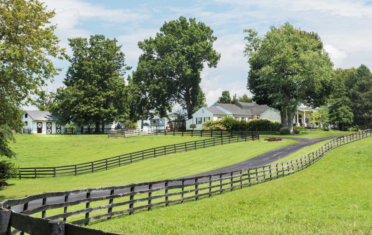 Johnny Depp, posestvo, Kentucky | Foto halfhillauctions.com