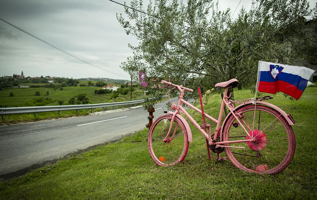 Goriska Brda Giro priprave | Foto Ana Kovač