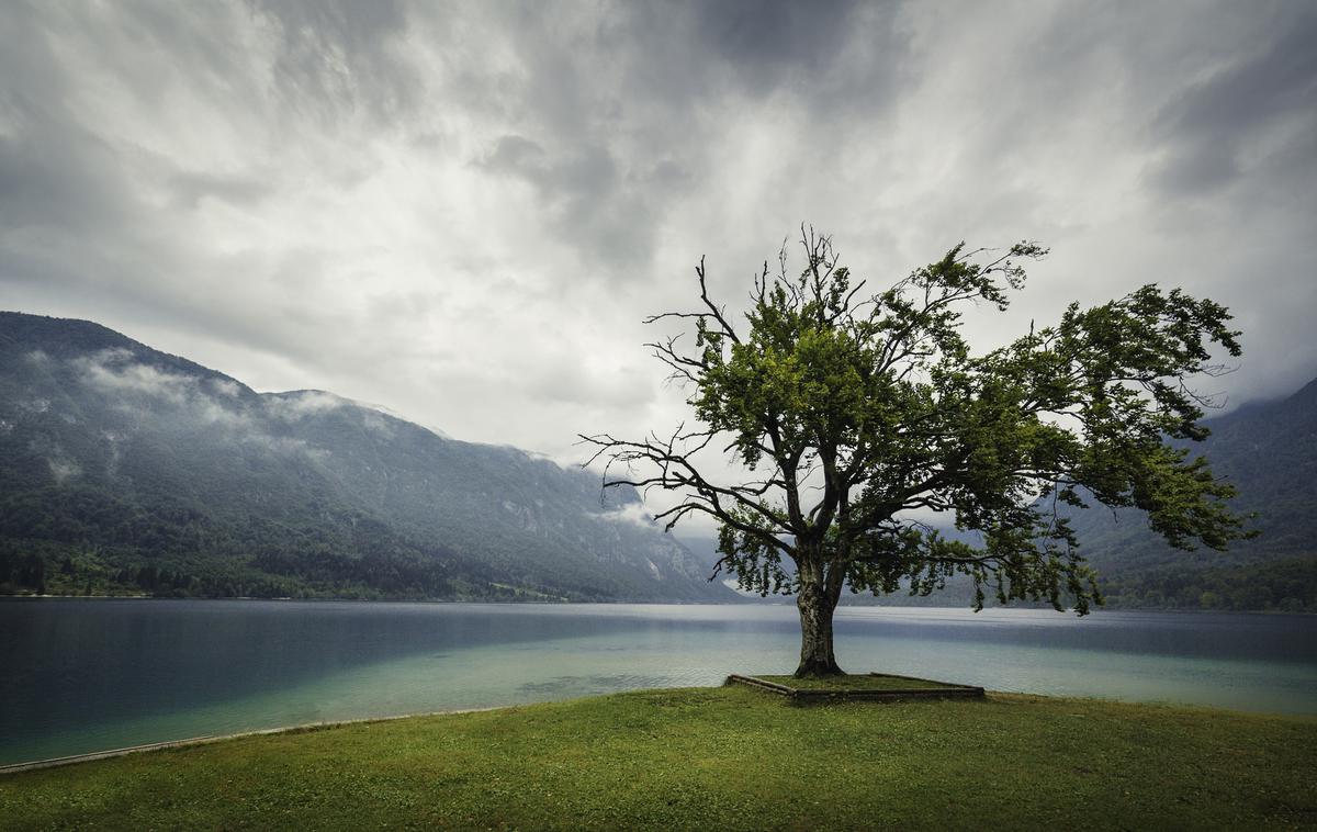 Bohinjsko jezero, Bohinj | Foto Thinkstock