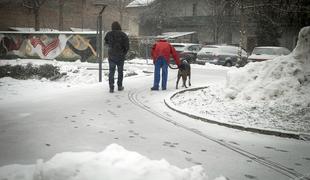 Sneg bo postopoma ponehal, burja na Primorskem ostaja