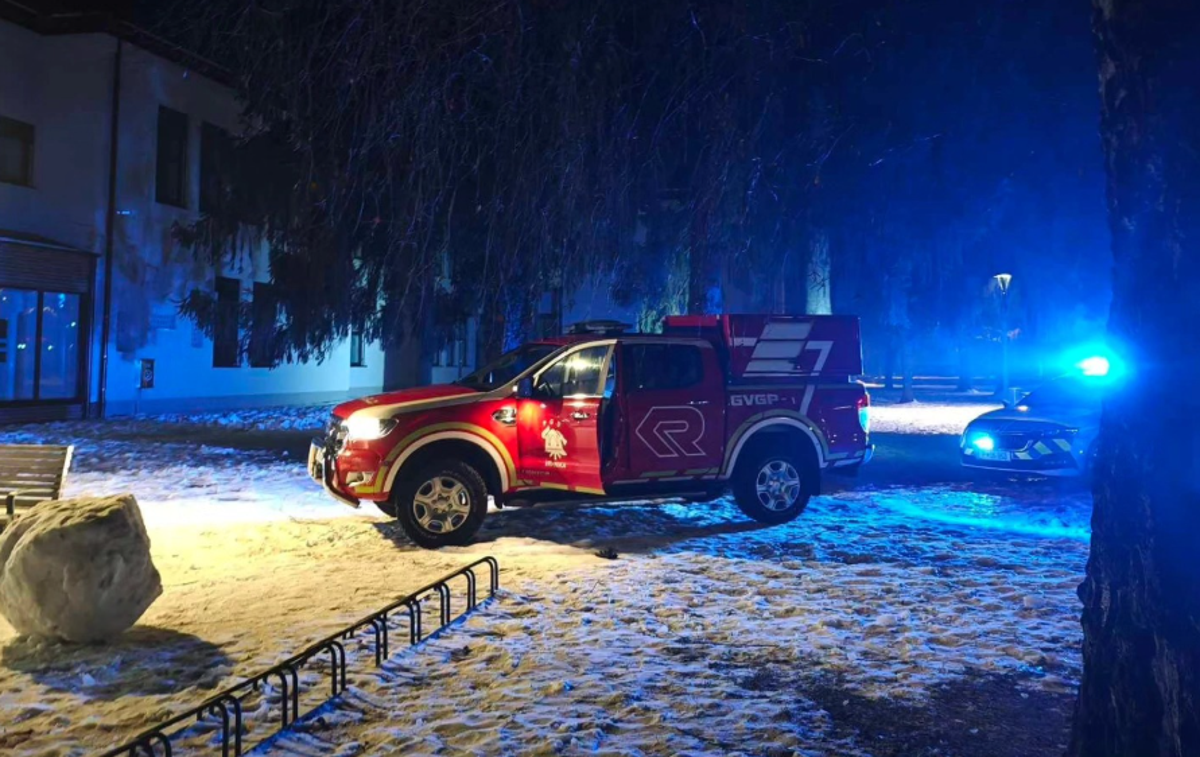 Intervencija | Intervencija pred osnovno šolo na Vrhniki | Foto PGD Vrhnika