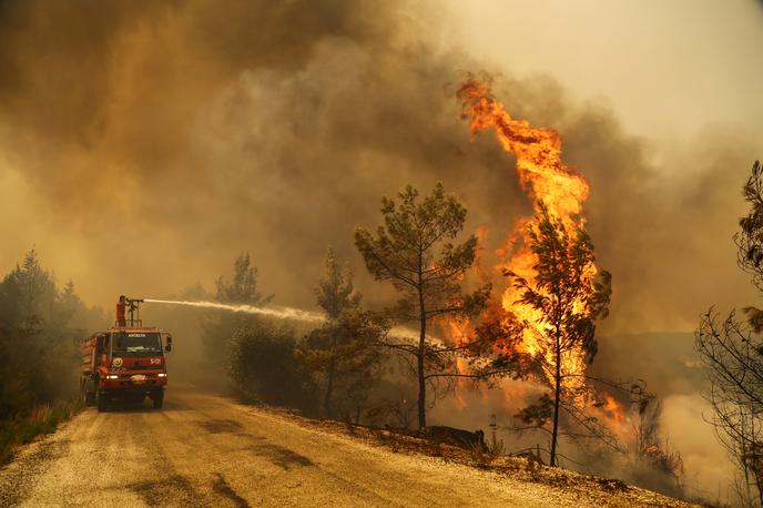 požar Turčija gasilci | Kofol je bil eden od skupno 48 slovenskih gasilcev, ki so avgusta šest dni gasili gozdne požare v Severni Makedoniji. (Fotografija je simbolična.) | Foto Reuters