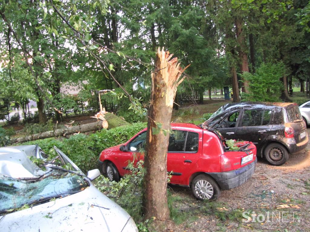 Posledice neurja na Dolenjskem