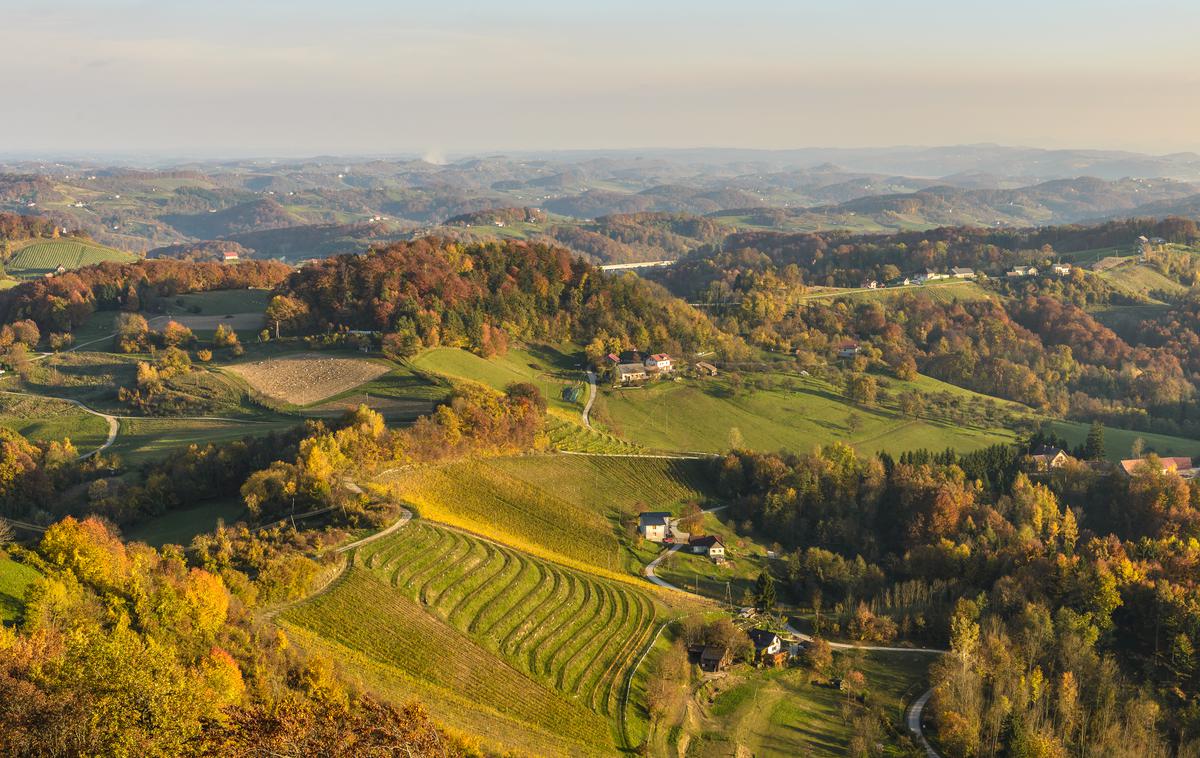 štajerska slovenske gorice | Foto Thinkstock