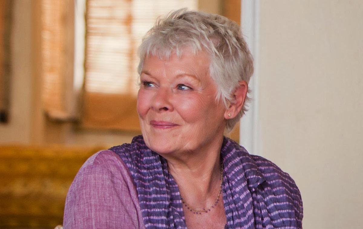 The Best Exotic Marigold Hotel