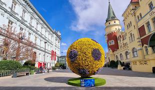 Celje znova med najboljšimi