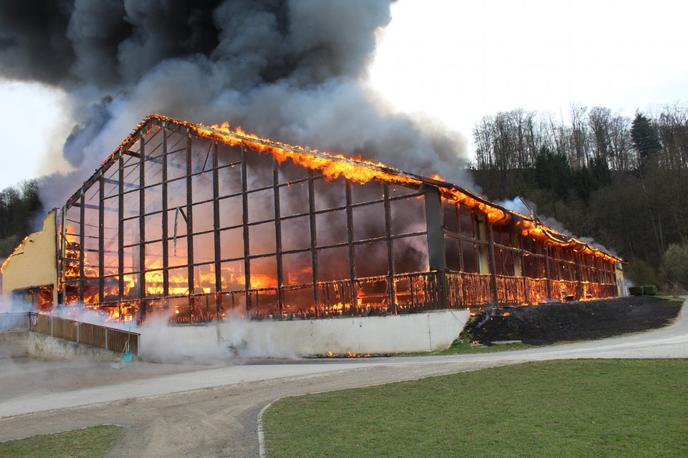 Gašenje požara blizu Lipnice | Foto Stadtfeuerwehr Leibnitz