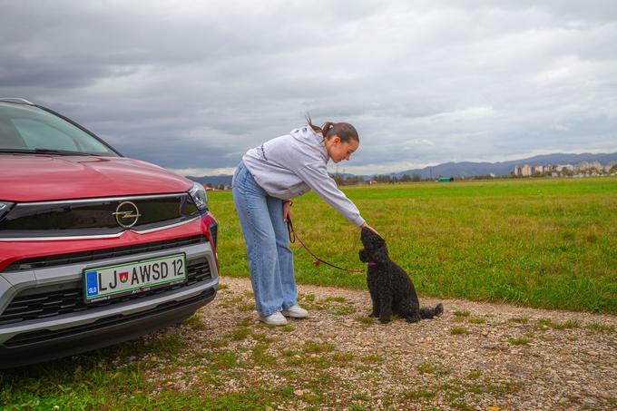 Opel | Foto: Žiga Krančan