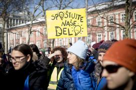 protest stavka Ljubljana Sviz