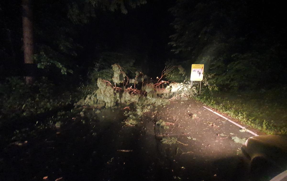 Vreme, podrto drevo, oblaki | Največjo nevarnost poleg nalivov predstavljajo vetrolomi. | Foto David Florjančič