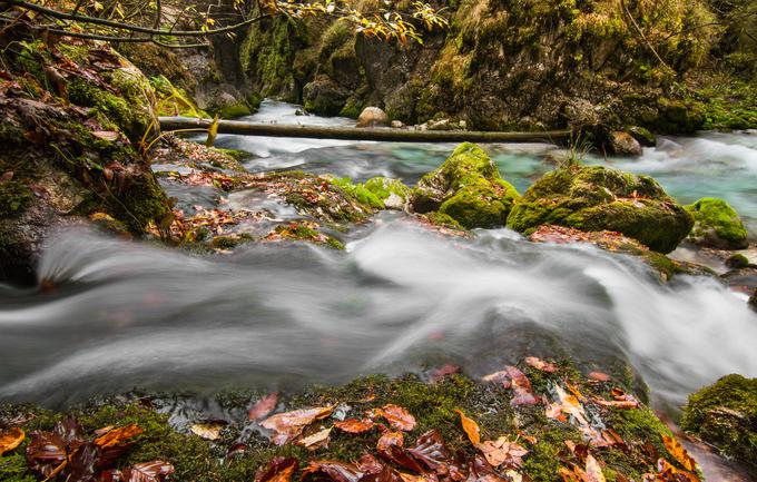 Kamniška Bistrica | Foto: Thinkstock