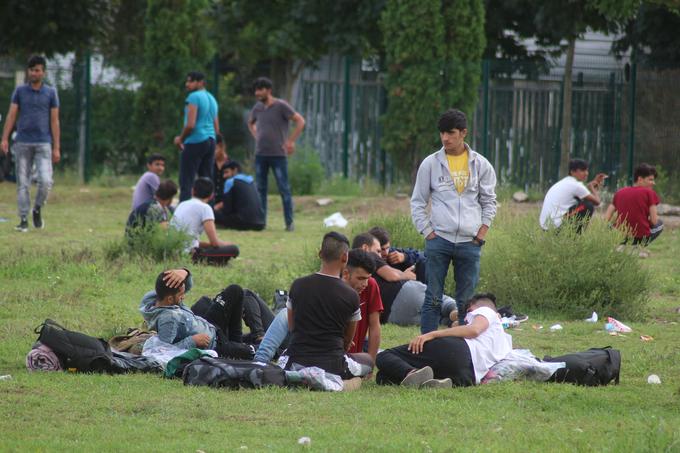 Zaradi odprave schengna oziroma ponovne uvedbe mejnega nadzora na italijansko-slovenski in posledično na slovensko-hrvaški meji bo seveda med Golobom in Melonijevo beseda tudi tekla o tem. Razlog za ponovno vzpostavitev nadzora je povečan pritok migrantov, ki na ozemlje EU vstopajo na Hrvaškem. Na italijanski strani policistom pri nadzoru meje pomaga tudi vojska. | Foto: Guliverimage