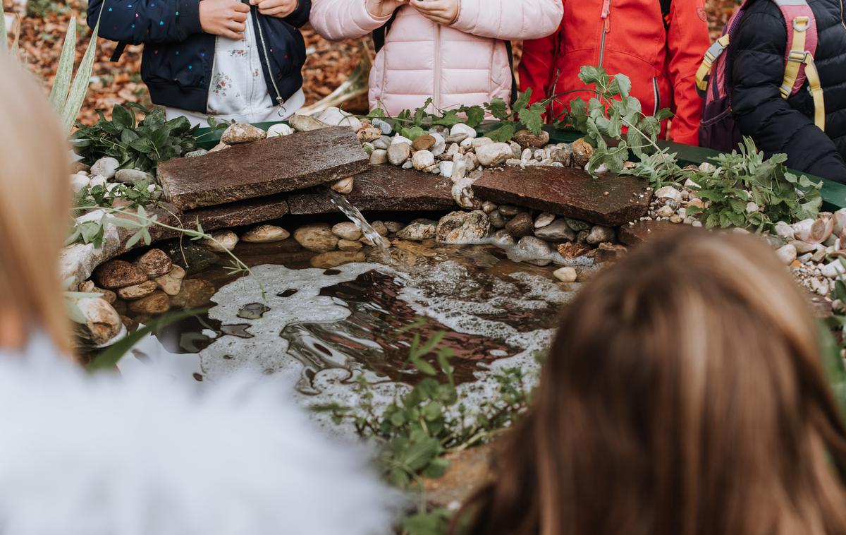 Zavetišče za zlate ribice Trajna | V gradbeni jami med Dunajsko cesto in Bežigrajskim dvorom so postavili zavetišče za zlate ribice. | Foto Amadeja Smrekar