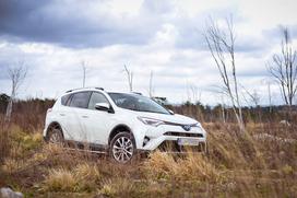 Toyota RAV4 - fotogalerija testnega vozila