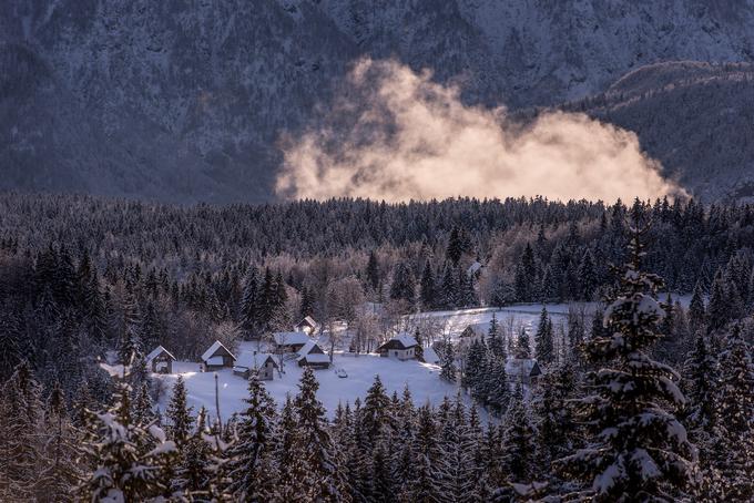 Zasnežena Pokljuka. | Foto: www.slovenia.info/sl