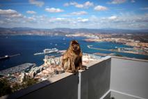 Gibraltar