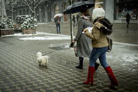 Sneženje v Ljubljani