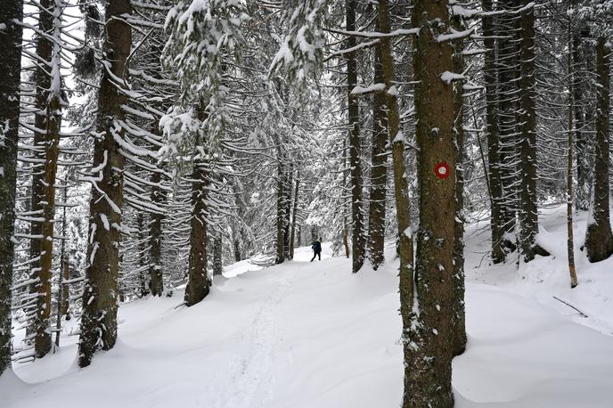 Rogla Lovrenška jezera sneg | Po markirani in trenutno zasneženi pešpoti z Rogle na Lovrenška jezera | Foto Matej Podgoršek