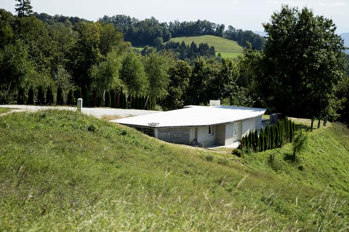 "Delamo počasi, odvisno od tega, koliko je časa in denarja. Spomladi in poleti smo na terenu, da se nateče tudi nekaj prihodkov, jeseni pa spet zidamo in ustvarjamo," pove Boris. | Foto: Ana Kovač