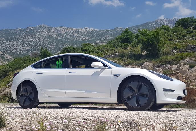 tesla 3 | Nemško sodišče je odločilo, da mora Tesla umakniti sporne oglase, v katerih oglašuje avtonomno vožnjo. | Foto Društvo DEMS