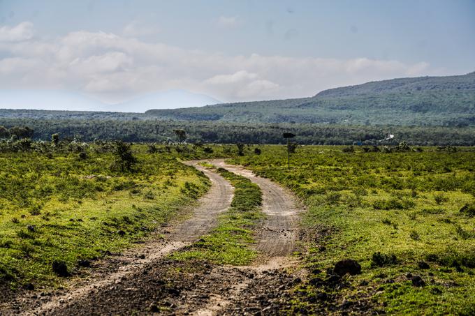 Reli Safari Kenija | Foto: M-Sport Ford