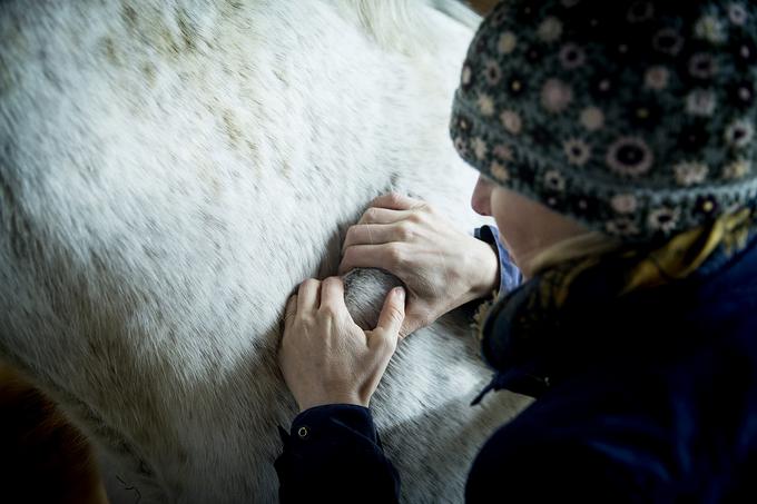 Z Ario jaha, z njo občasno tudi tekmuje v skakanju, čeprav je tega zdaj manj, odkar čas namenja tudi starševstvu in študiju. | Foto: Ana Kovač