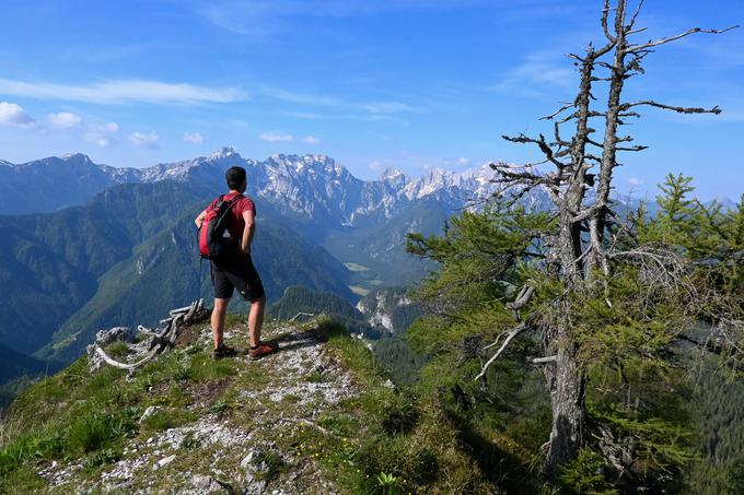 Razgledni balkon nad Potočko zijalko in ob razcepu poti na Obel kamen ali neposredno proti Govci. | Foto: Matej Podgoršek