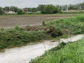 Slovenska Bistrica poplave njive