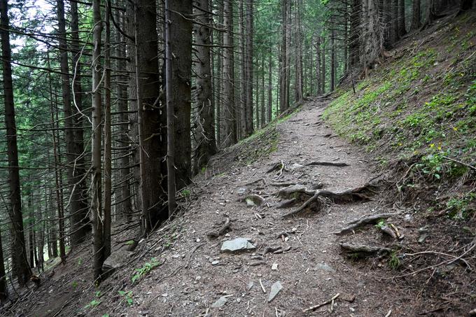 Vzpon do Bistriške planine po Visoki Karnijski poti | Foto: Matej Podgoršek