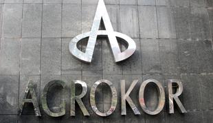 Agrokor razvija regijsko internetno trgovino