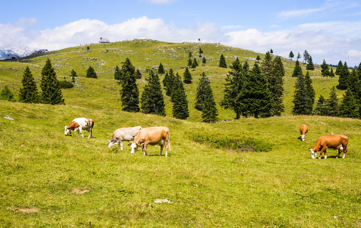 Izbrana kakovost Slovenija