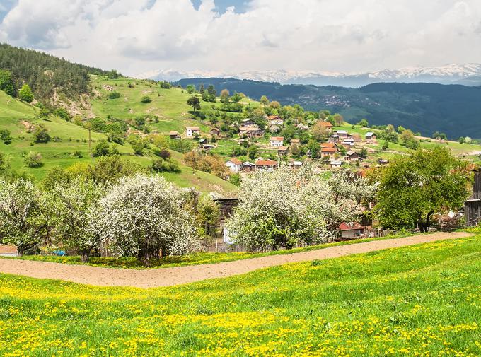 Rodopi, Bolgarija | Foto: Thinkstock