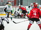 Alpska liga: HDD Sij Acroni Jesenice - EC Bregenzerwald