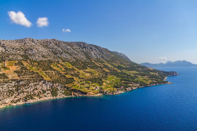 Dingač je najbolj cenjena vinogradniška lega na Pelješcu, to ime nosi tudi vino, pridelano iz grozdja plavac mali, ki raste v teh vinogradih. | Foto: Getty Images